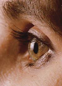 Billede af et øje, close-up, ekstern