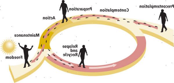 Opioid-artikel-diagram Opioid-artikel-diagram