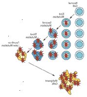 Genetisk illustration demonstrerer celle mutation Genetisk illustration demonstrerer celle mutation