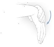Wrist extensor stretch Wrist extensor stretch