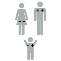 Illustration af rh faktor: baby er +-RH positiv Illustration af rh faktor: baby er +-RH positiv