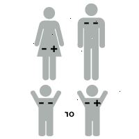 Illustration af rh faktor: baby er +-RH positiv Illustration af rh faktor: baby er +-RH positiv