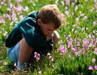 Billede af ung dreng sidder i et felt af vilde blomster Billede af ung dreng sidder i et felt af vilde blomster