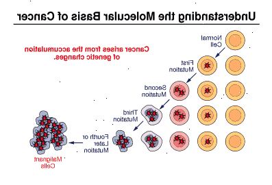 Diagram af celleforandringer Diagram af celleforandringer